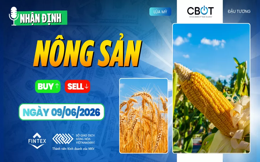 NHẬN ĐỊNH THỊ TRƯỜNG NÔNG SẢN NGÀY 09/06/2026